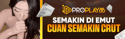 Banner Data procum.art 